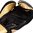 Venum Challenger 3.0 Gloves - schwarz/gold