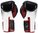 FAIRTEX BGV5 Boxhandschuhe schwarz / weiß /rot