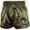 Venum Classic Thai Shorts - Green